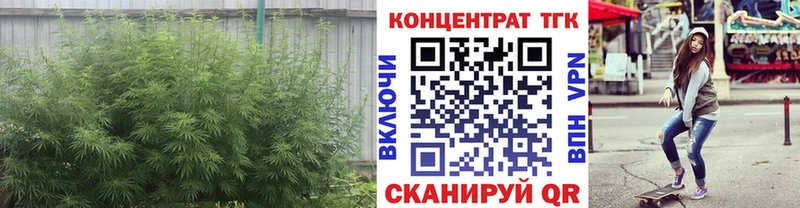 Дистиллят ТГК концентрат  Купить где  Россошь 