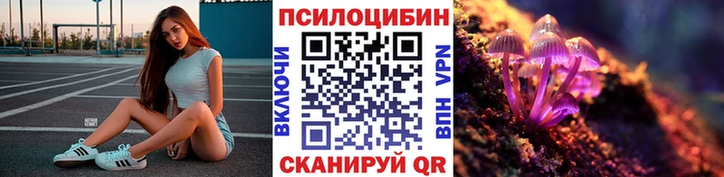 Купить  Россошь  Галлюциногенные грибы Cubensis 