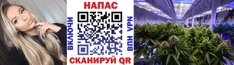 Канабис White Widow  Купить закладки  Россошь 